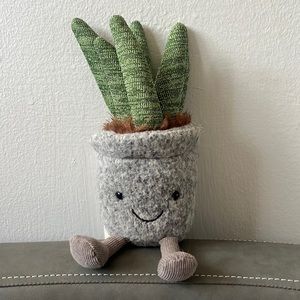 jelly cat mini silly succulent cactus plant
